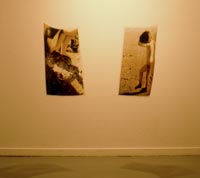 installation by Sonja van Kerkhoff