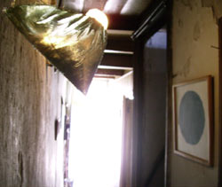 installation by Sonja van Kerkhoff + Sen McGlinn