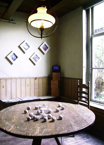 installation by Sonja van Kerkhoff + Sen McGlinn