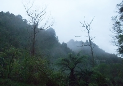Photograph by Sonja van Kerkhoff : copyright 2010