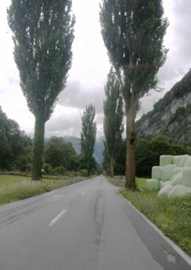 Photograph by Sonja van Kerkhoff