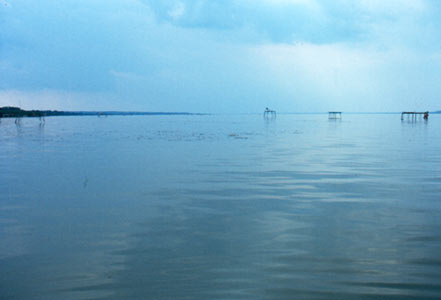Photograph by Sonja van Kerkhoff
