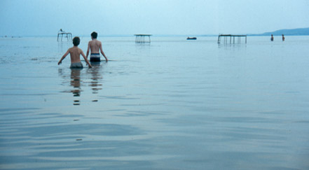 Photograph by Sonja van Kerkhoff