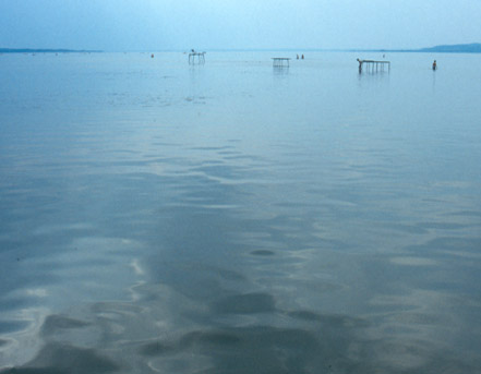 Photograph by Sonja van Kerkhoff