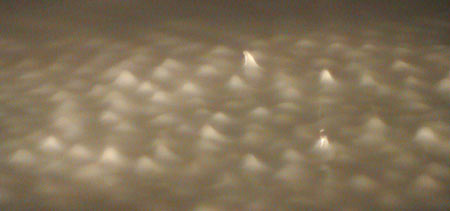 Photograph copyrighted by Sonja van Kerkhoff Photograph copyrighted by Sonja van Kerkhoff
