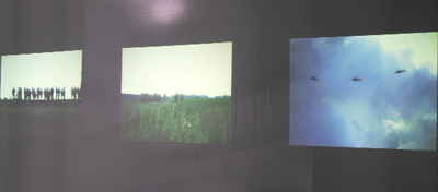 Photograph by Sonja van Kerkhoff