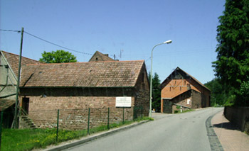 Photograph by Sonja van Kerkhoff