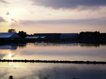 Photograph by Sonja van Kerkhoff
