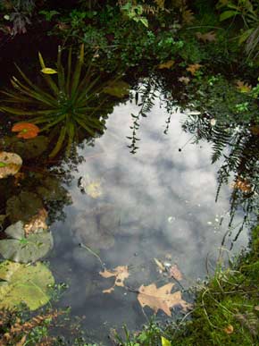 Photograph by Sonja van Kerkhoff