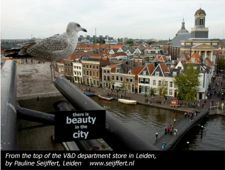 Photograph by Pauline Sieffert in the Beauty in the City - Leiden exhibition, October 2010