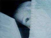 Still from a video by Sonja van Kerkhoff