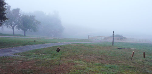 Installation by Matt Pine at Tahora High-country International Sculpture 2013