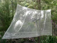 Persian text installation by Sonja van Kerkhoff and Sen McGlinn with circular plaque on the tree, The Prison of self. 
Dutch repurposed nylon curtain and transparent nylon thread showing text in the negative spaces