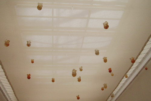 Installation by Sonja van Kerkhoff + Sen McGlinn