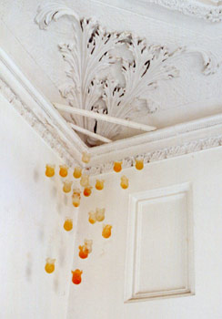 Installation by Sonja van Kerkhoff + Sen McGlinn