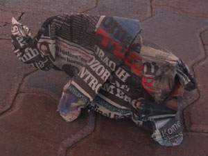 Sonja herds elephants in Todd mall, Alice Springs.