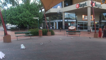 Sonja herds elephants in Todd mall, Alice Springs.