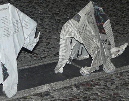 Sonja herds elephants across the Sproul Plaza at UC Berkeley, California, U.S.A. on December 7th, 2012