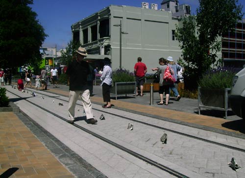 Sonja herds elephants in towards the Christchurch red zone, along the no longer in use, Cashel Street tramline.