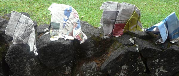 Sonja herds elephants over the lava rocks towards the Hilo Farmers Market on March 16th, 2013