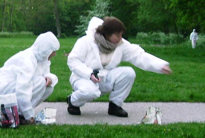 Sonja herds elephants in the Bos van Bosman park, Leiden.