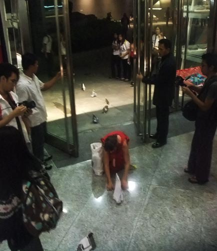 Sonja herds elephants into the Yuchengco Museum, Metro Manila, The Philippines.