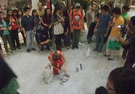 Sonja herds elephants into the Yuchengco Museum, Metro Manila, The Philippines.