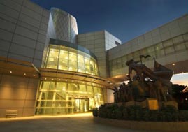 Sonja herds elephants into the Yuchengco Museum, Metro Manila, The Philippines.