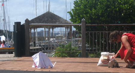 Sonja herds elephants from the Town Basin Pohutakawa tree along the wharf towards the Whangarei art gallery.