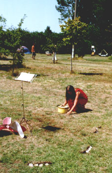 view of the performance