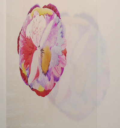 Print by Sonja van Kerkhoff + Carmen McGlinn