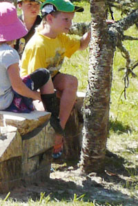 Land Art or a Site specific outdoor sculpture made out of firewood and dead trees by Sen McGlinn + Sonja van Kerkhoff at the 2013 Tahora High-country International Sculpture. Marco primary school about 30km west of here came to visit as an after school activity.