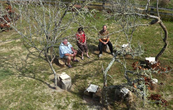 Land Art or a Site specific outdoor sculpture made out of firewood and dead trees by Sen McGlinn + Sonja van Kerkhoff at the 2013 Tahora High-country International Sculpture