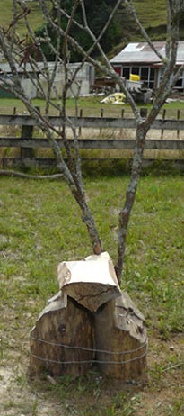 Detail of a site specific outdoor sculpture made out of firewood and dead trees by Sen McGlinn + Sonja van Kerkhoff at the 2013 Tahora High-country International Sculpture showing the seat surfaces.