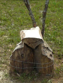 Detail of Oratory for Tahora made out of materials from the farm at Tahora High-country International Sculpture 2013 by Sen McGlinn + Sonja van Kerkhoff