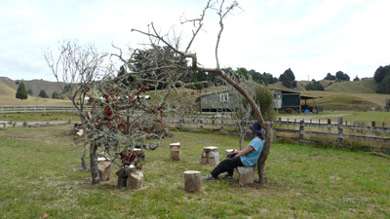 Land Art or a Site specific outdoor sculpture made out of firewood and dead trees by Sen McGlinn + Sonja van Kerkhoff at the 2013 Tahora High-country International Sculpture. Marco primary school about 30km west of here came to visit as an after school activity.