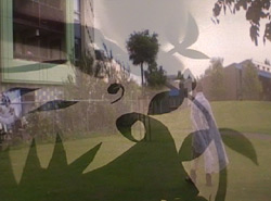 still from a video by Sonja van Kerkhoff