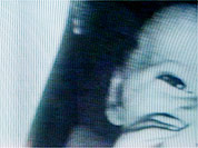 Still from a video by Sonja van Kerkhoff