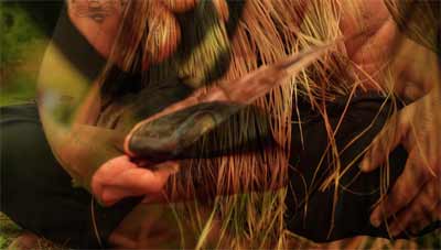 still from the short film