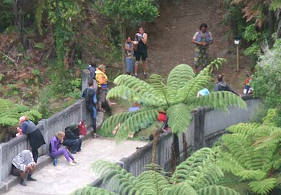 Bridge to Nowhere, Whanganui River, 2010